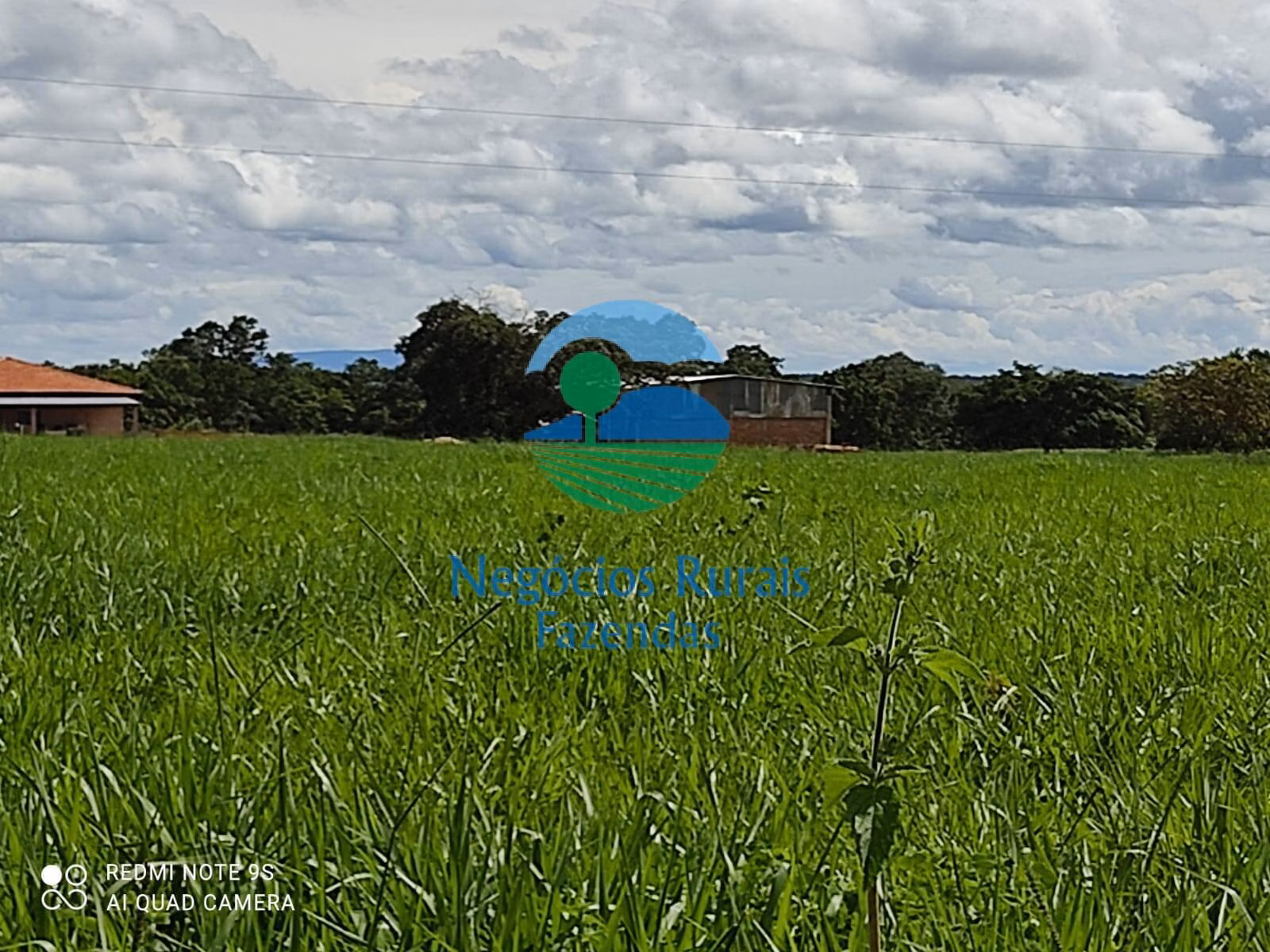 Fazenda de 489 ha em Montividiu do Norte, GO