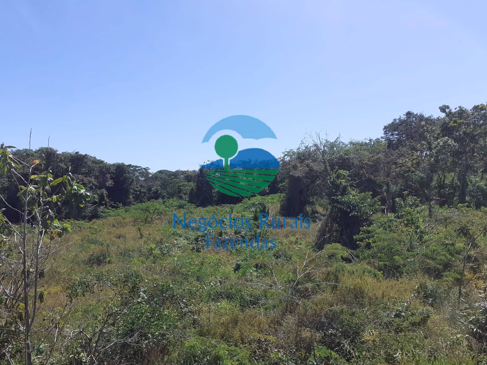 Fazenda de 489 ha em Montividiu do Norte, GO