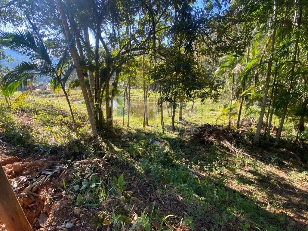 Terreno de 1 ha em Canelinha, SC