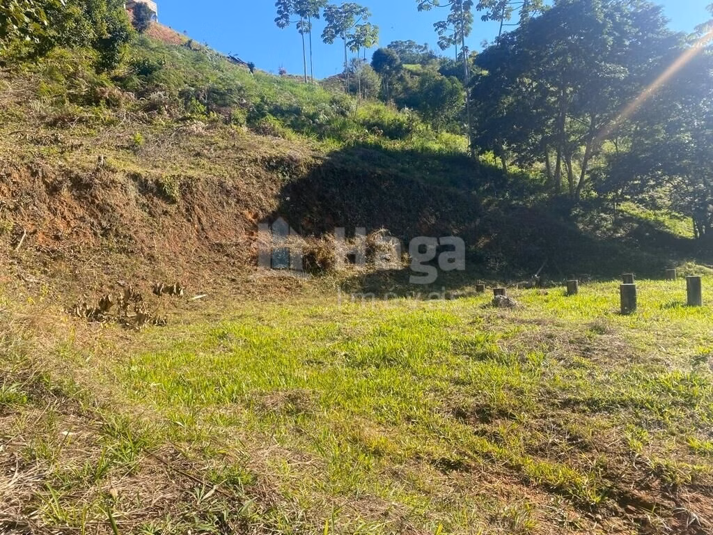 Terreno de 1 ha em Canelinha, SC