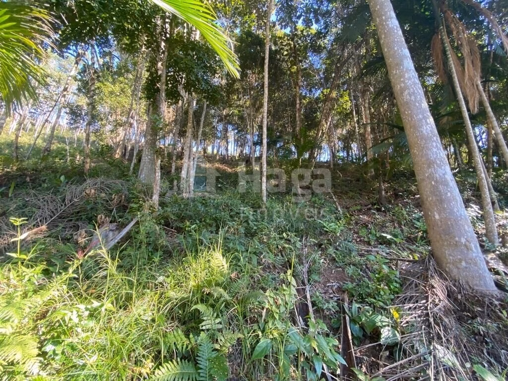 Plot of 4 acres in Canelinha, SC, Brazil