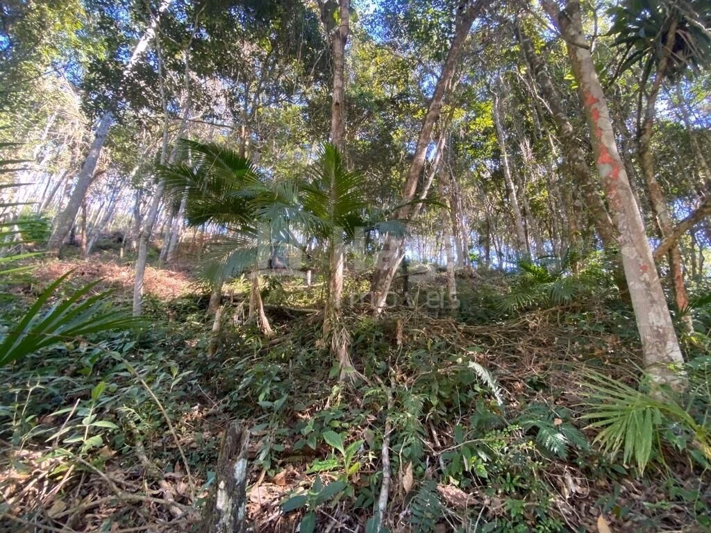 Terreno de 1 ha em Canelinha, SC