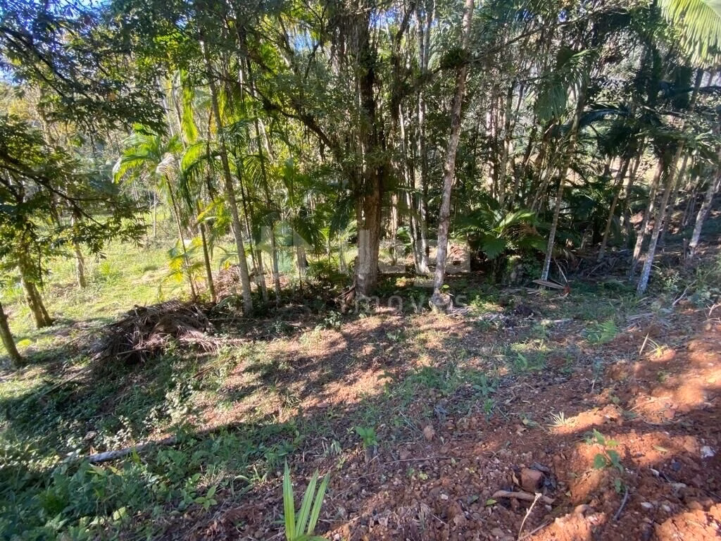 Terreno de 1 ha em Canelinha, SC