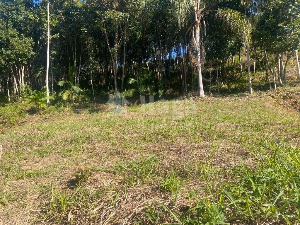 Terreno de 1 ha em Canelinha, SC