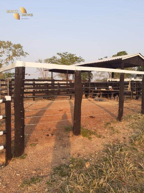 Fazenda de 105 ha em Cuiabá, MT