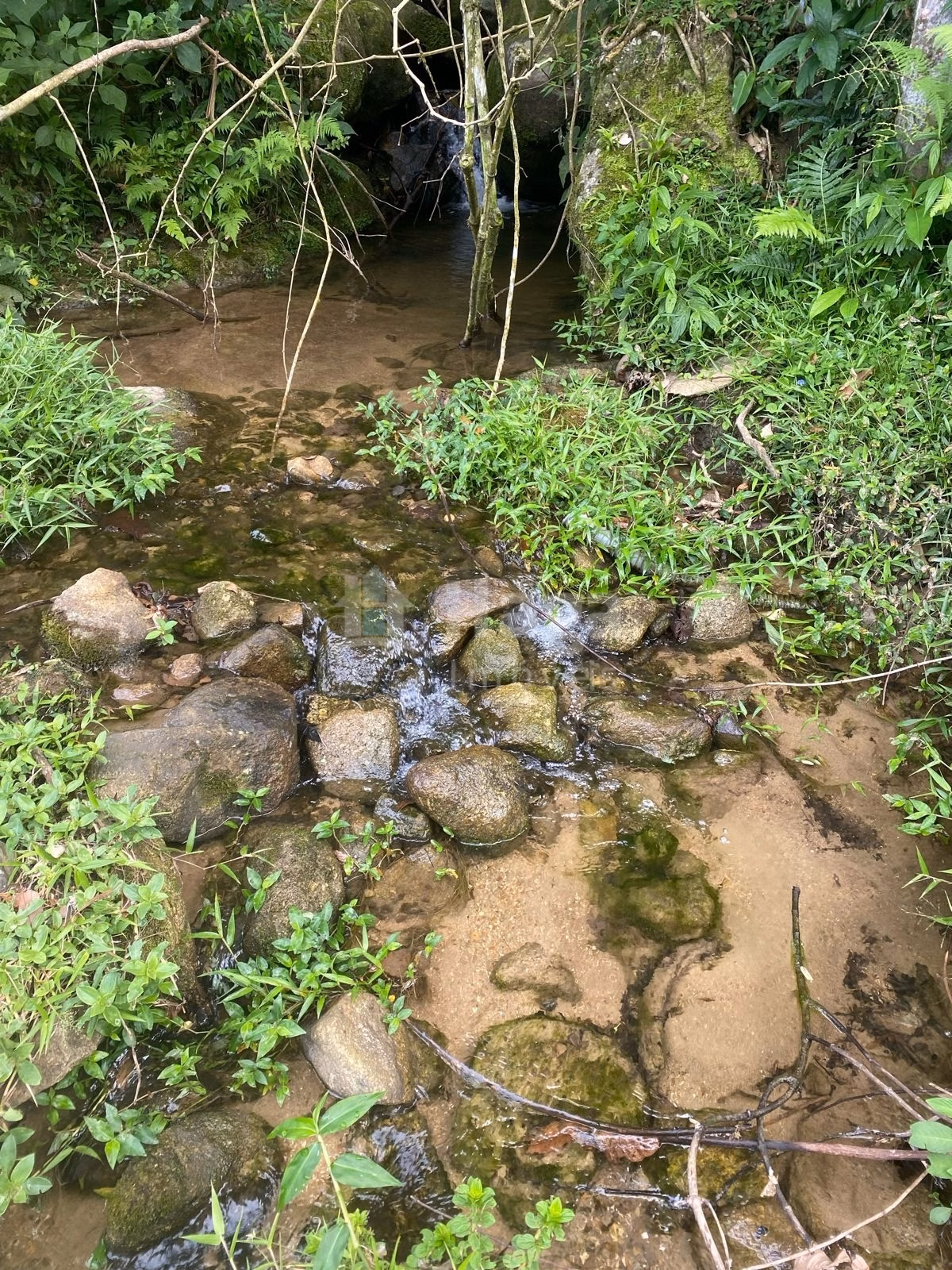 Fazenda de 4 ha em Nova Trento, SC