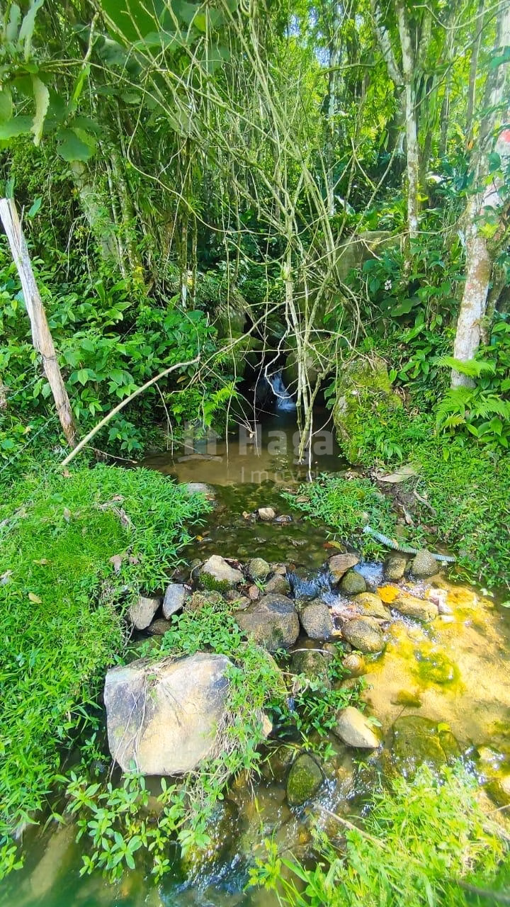 Fazenda de 4 ha em Nova Trento, SC
