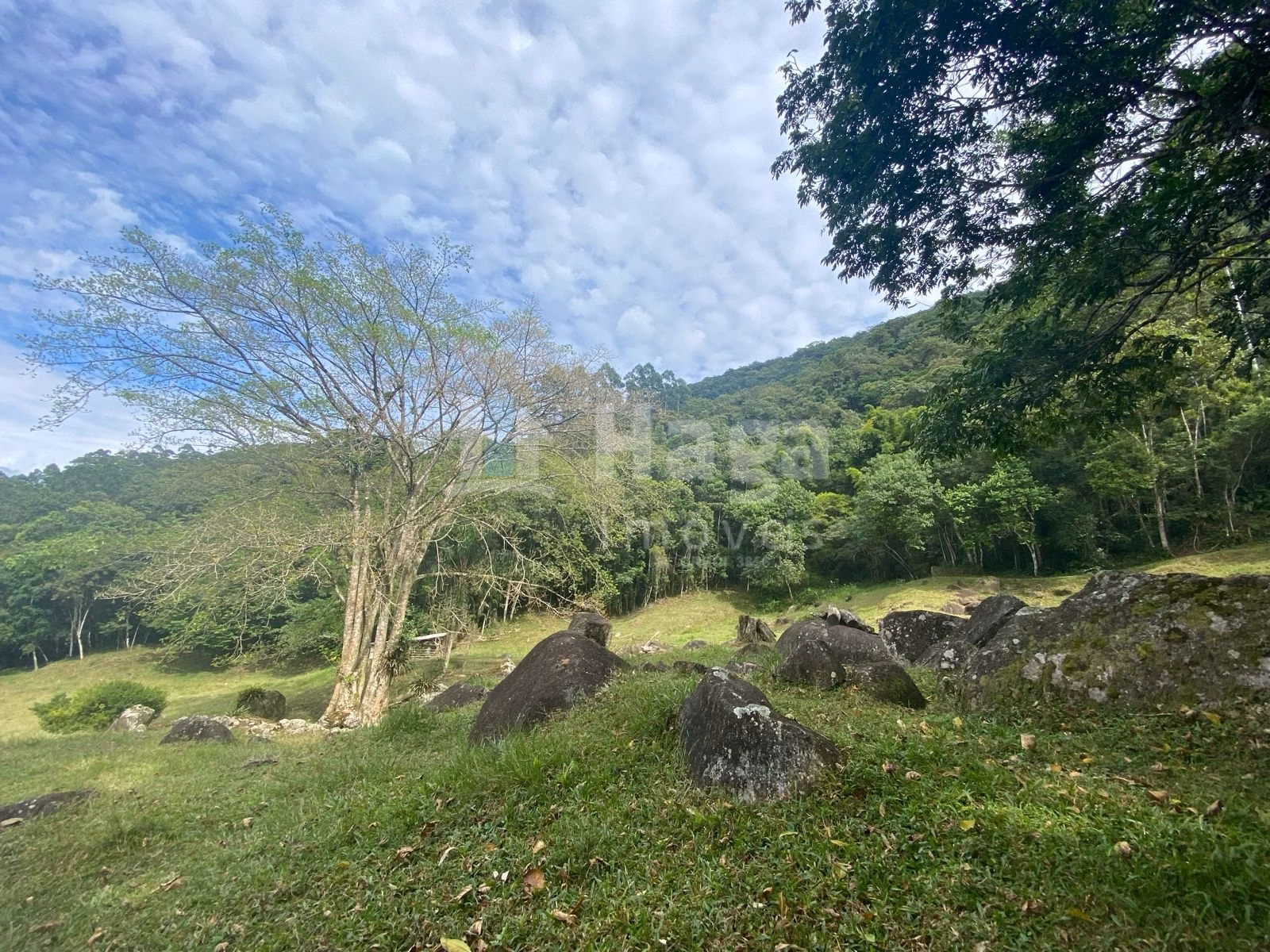 Fazenda de 4 ha em Nova Trento, SC