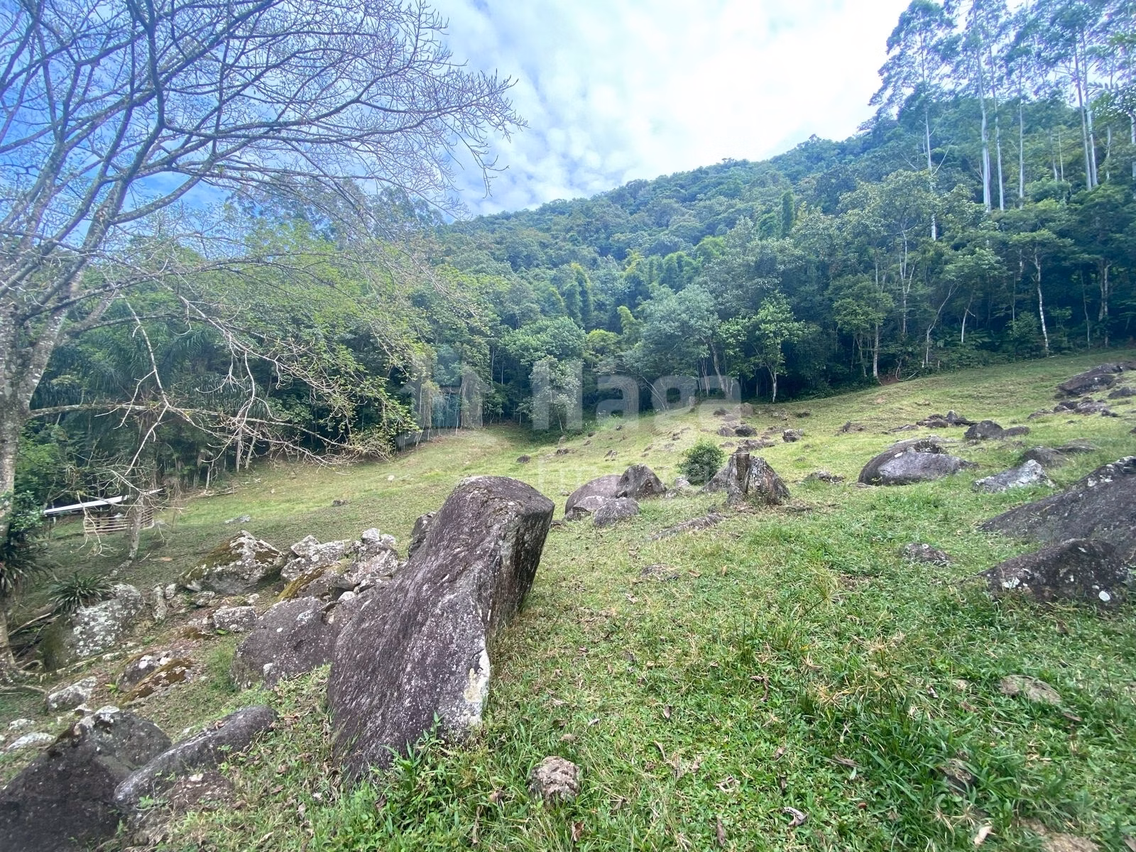 Fazenda de 4 ha em Nova Trento, SC