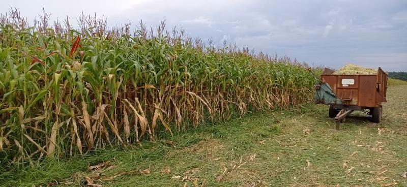 Farm of 927 acres in Angatuba, SP, Brazil