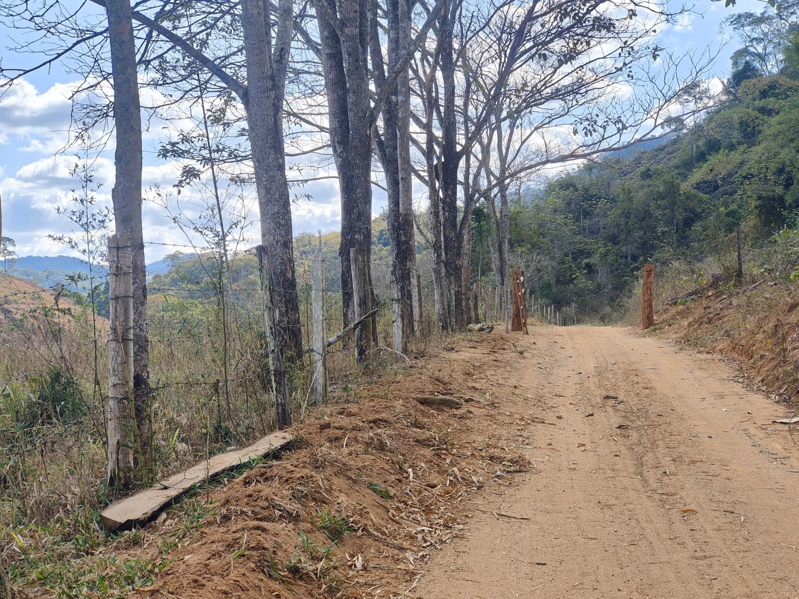 Farm zum Verkauf von 275 ha in Além Paraíba, MG
