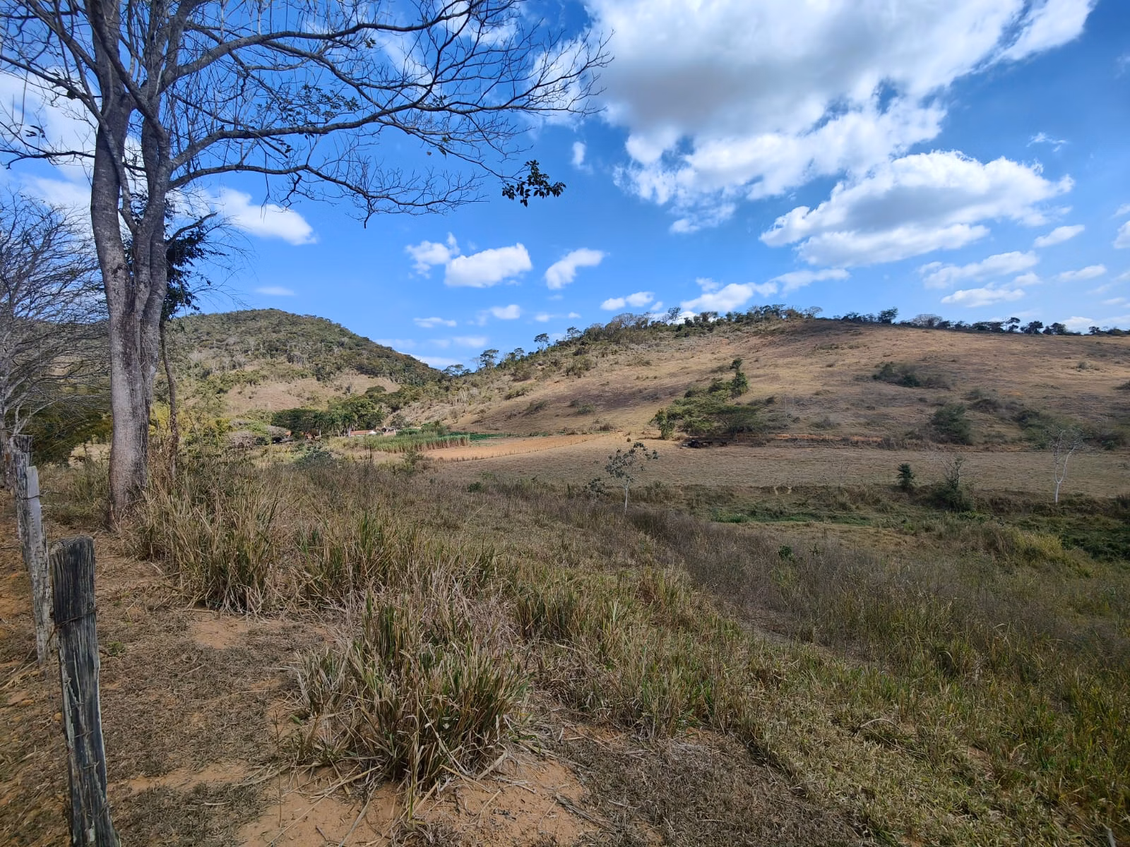 Farm zum Verkauf von 275 ha in Além Paraíba, MG
