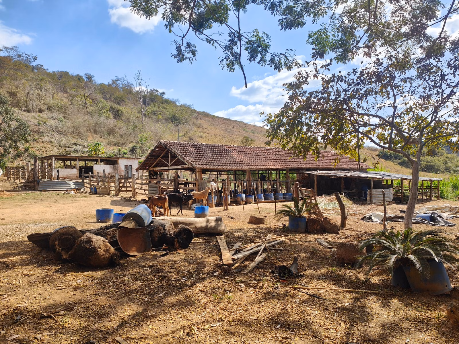 Farm zum Verkauf von 275 ha in Além Paraíba, MG