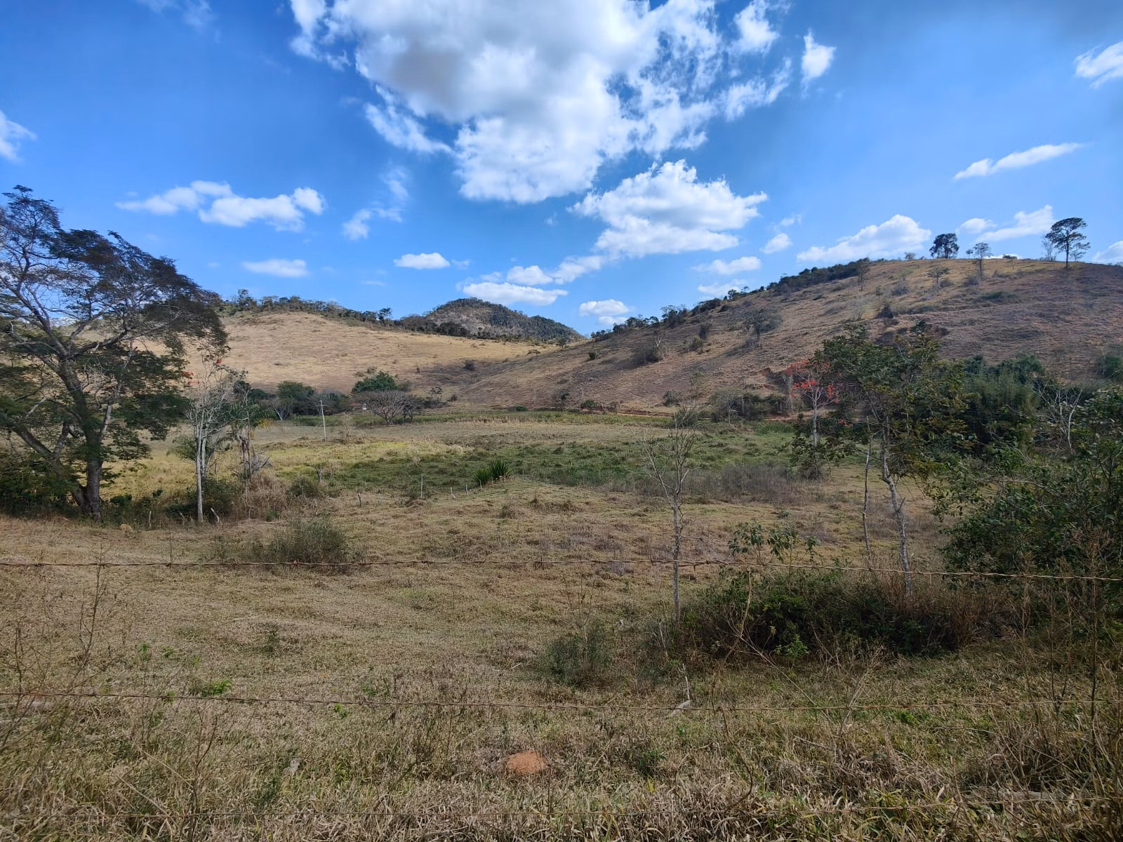 Farm zum Verkauf von 275 ha in Além Paraíba, MG