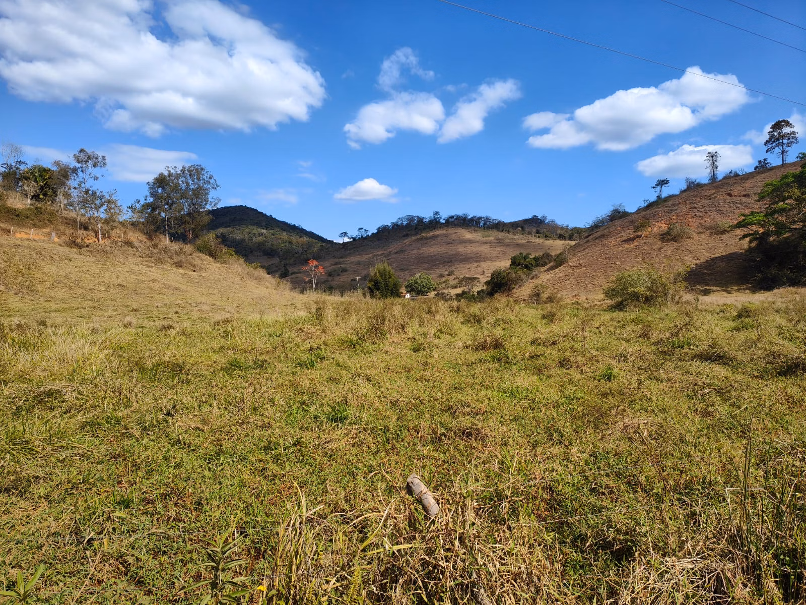 Farm zum Verkauf von 275 ha in Além Paraíba, MG