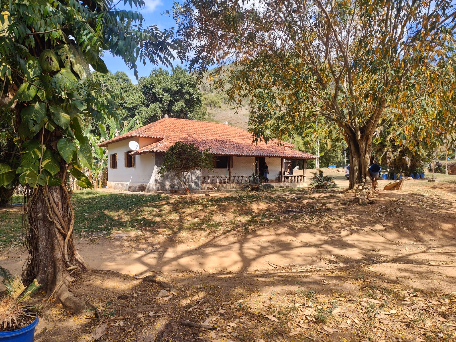 Farm zum Verkauf von 275 ha in Além Paraíba, MG