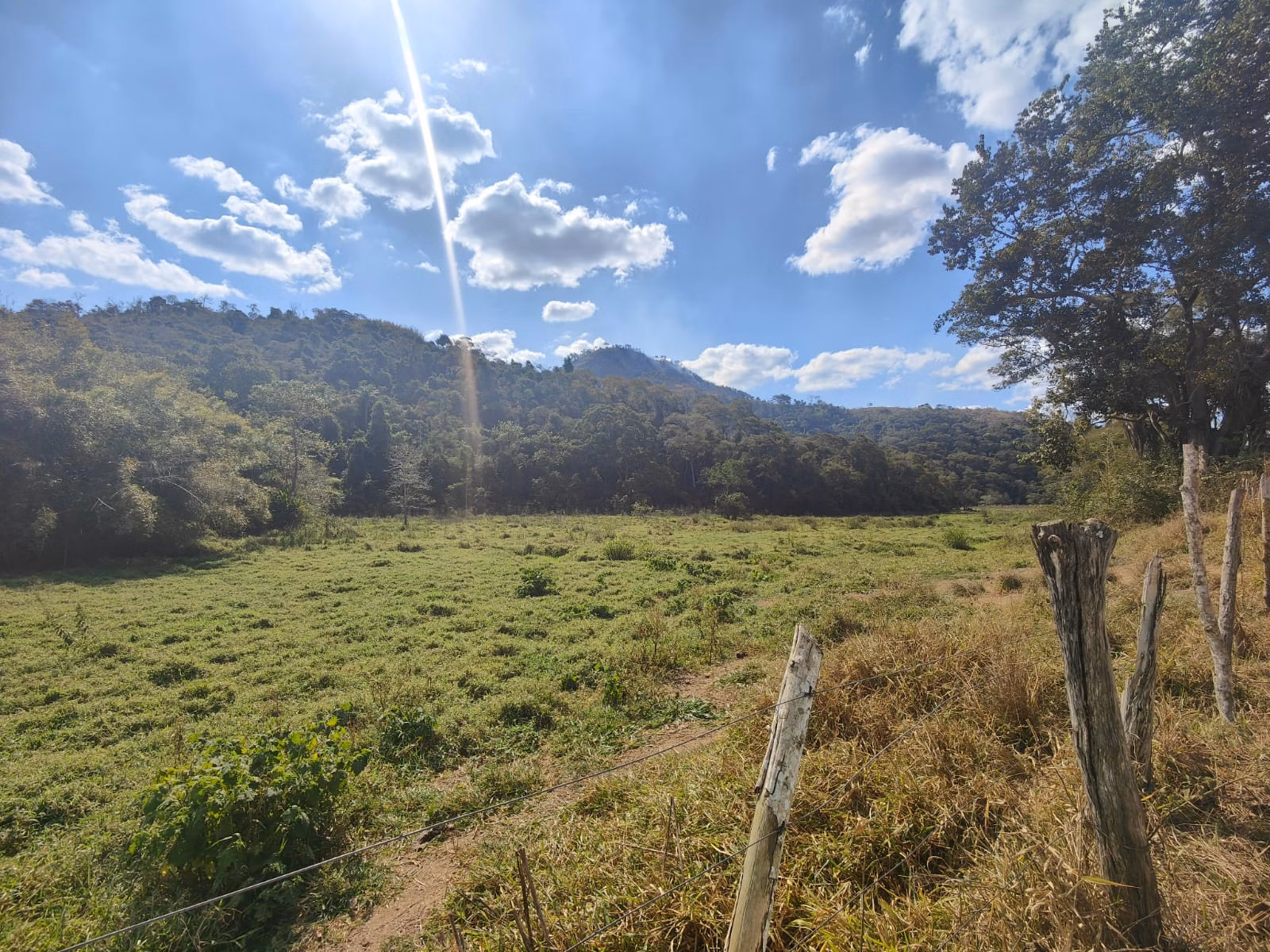 Fazenda à venda de 275 ha em Além Paraíba, MG