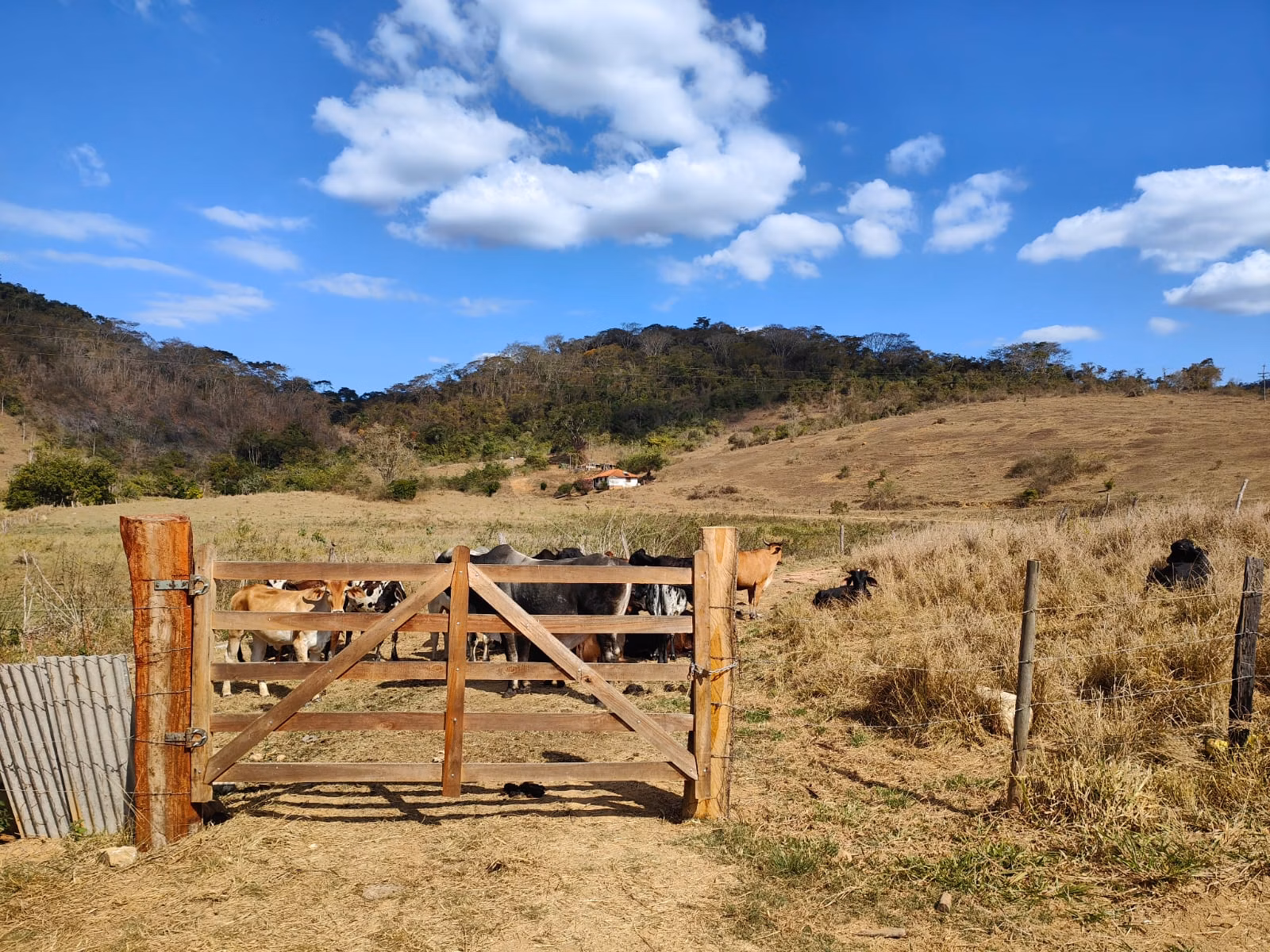 Farm zum Verkauf von 275 ha in Além Paraíba, MG