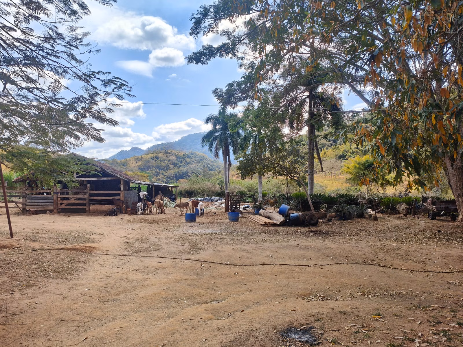 Farm zum Verkauf von 275 ha in Além Paraíba, MG