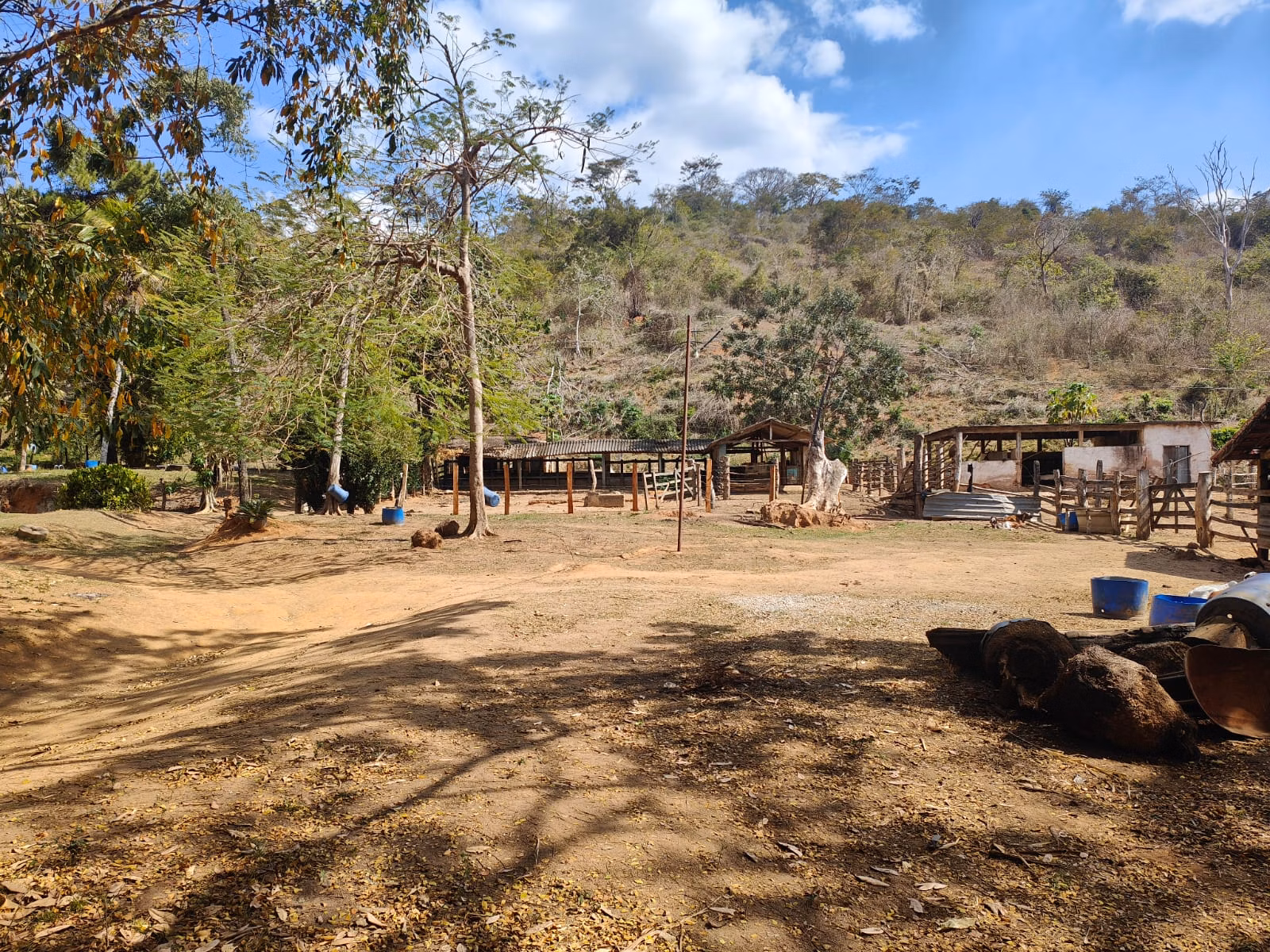 Farm zum Verkauf von 275 ha in Além Paraíba, MG