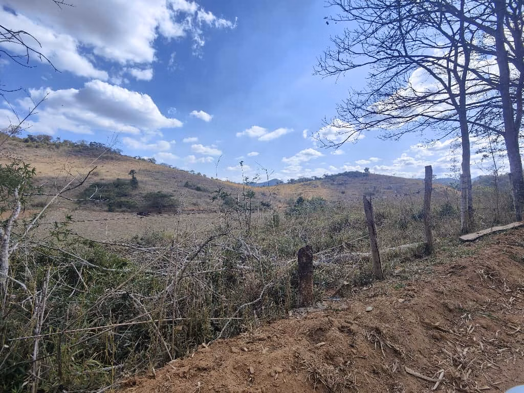 Farm zum Verkauf von 275 ha in Além Paraíba, MG