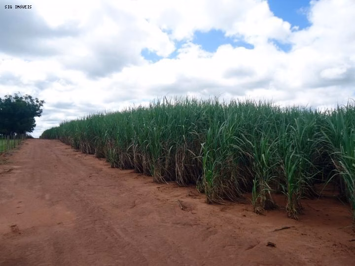 Fazenda de 3.417 ha em Rancharia, SP