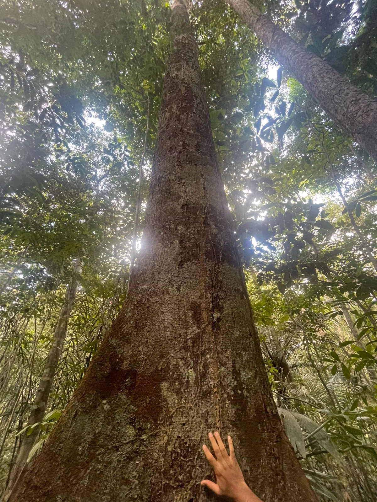 Plot of 109 acres in Iranduba, AM, Brazil