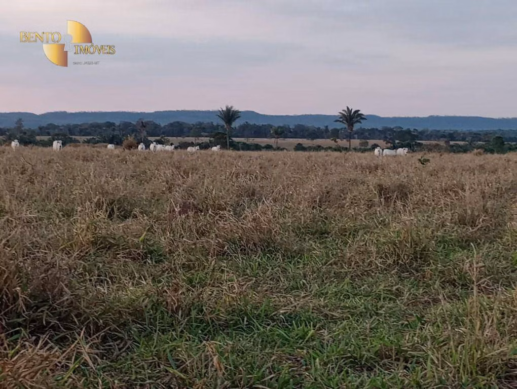 Fazenda de 400 ha em Tangará da Serra, MT