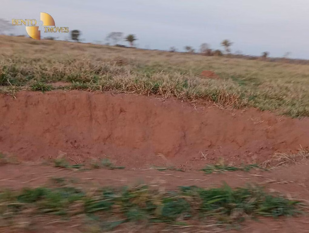 Fazenda de 400 ha em Tangará da Serra, MT