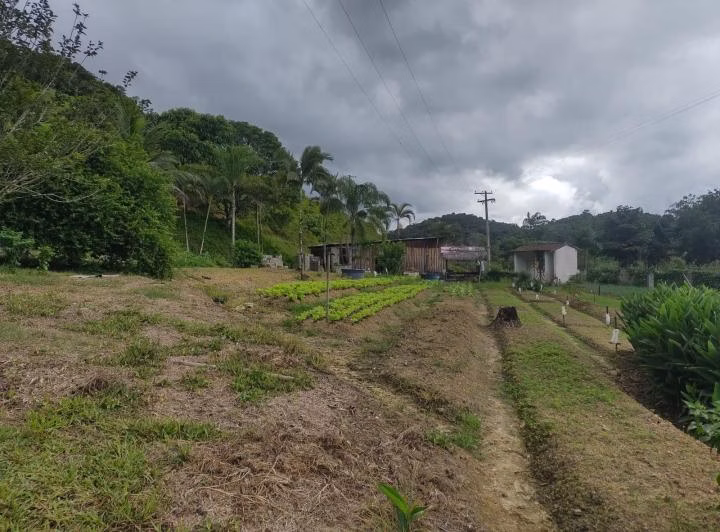 Sítio de 39 ha em Juquiá, SP