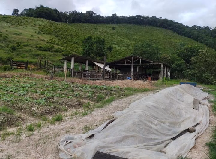 Sítio de 39 ha em Juquiá, SP