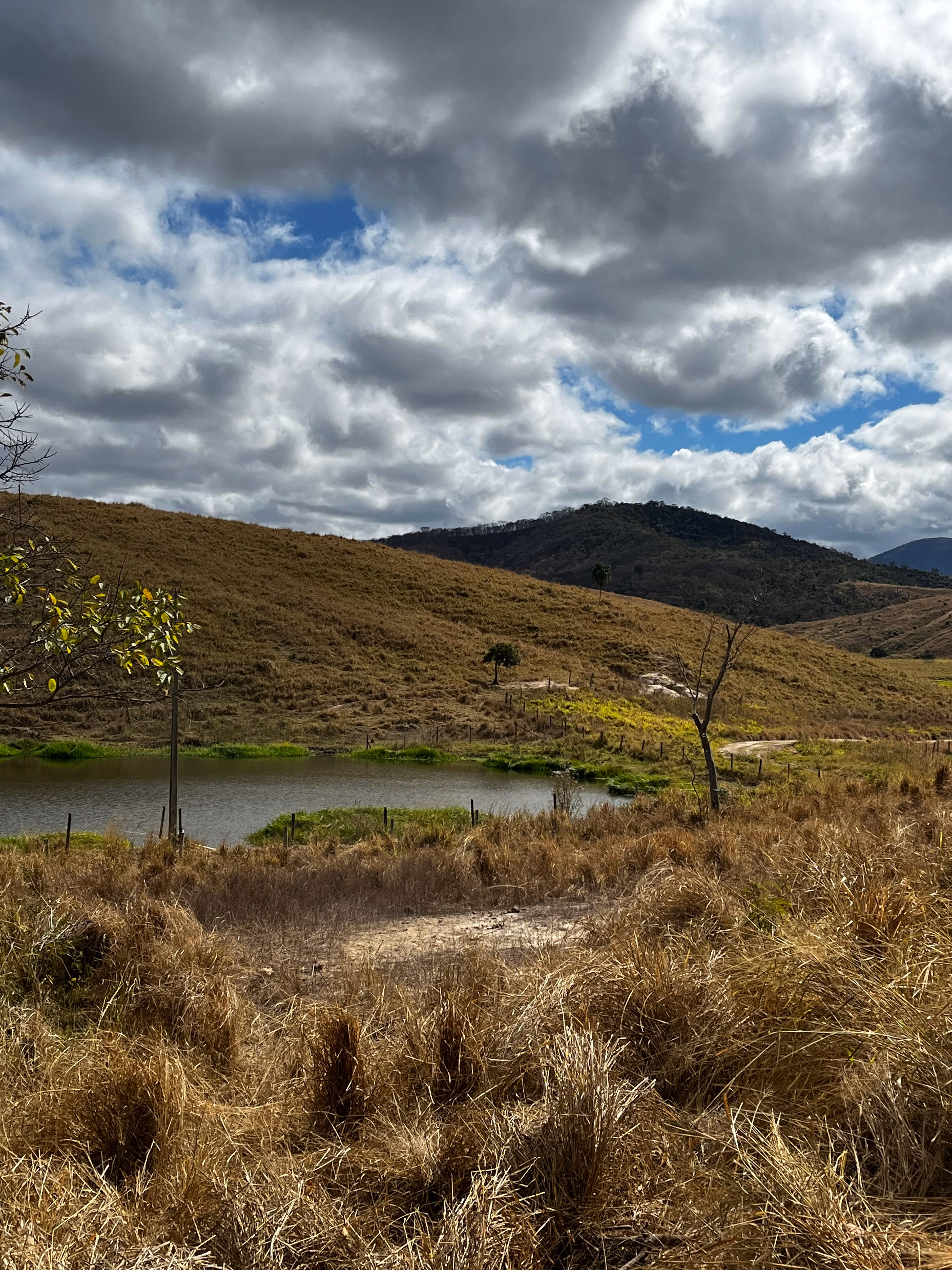 Farm of 1.349 acres in Mathias Lobato, MG, Brazil