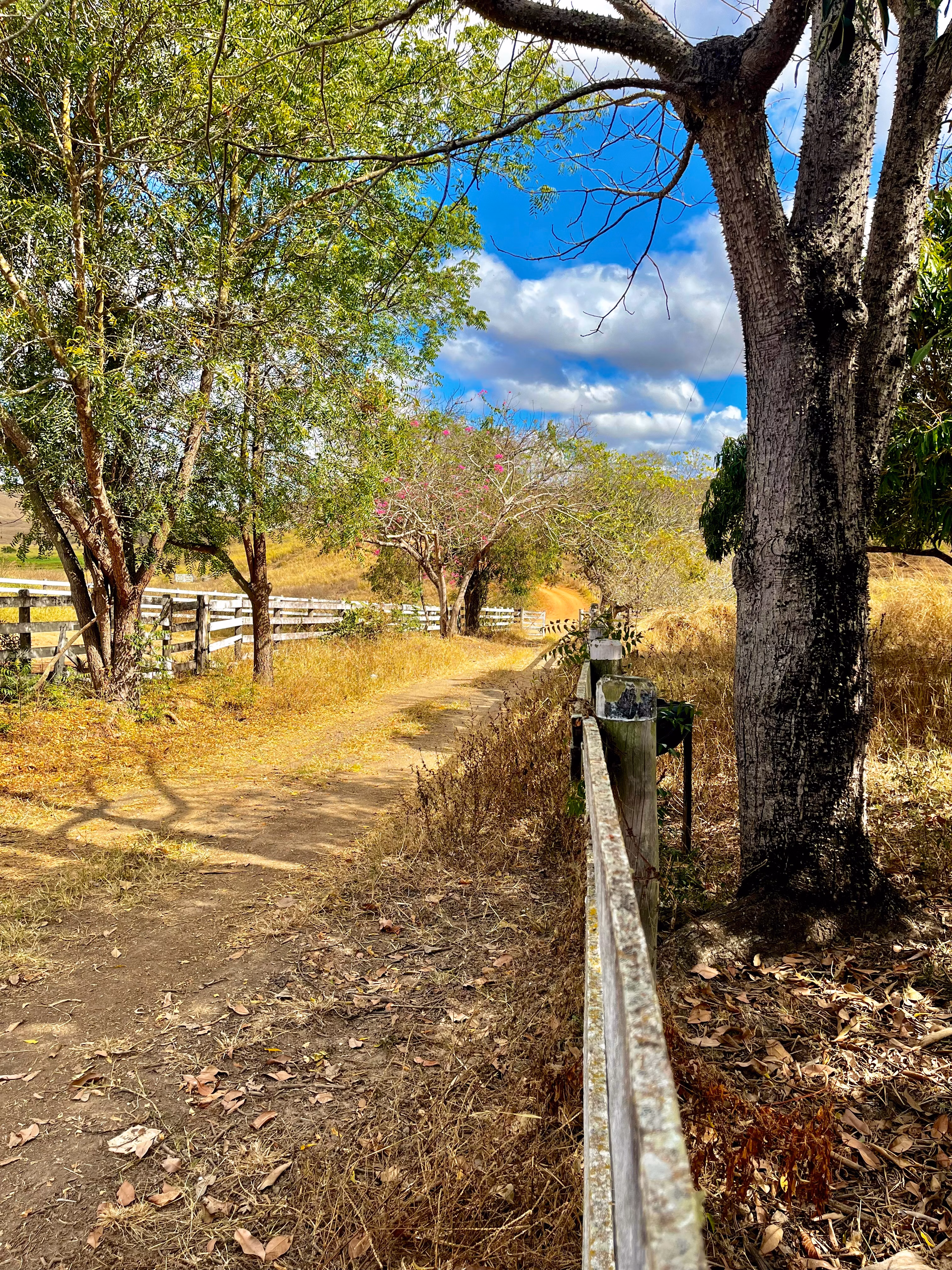 Farm of 1.349 acres in Mathias Lobato, MG, Brazil