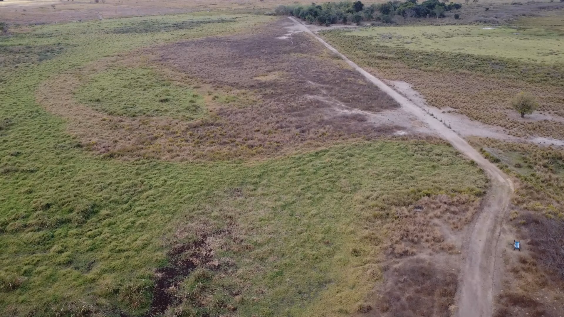 Farm of 1.349 acres in Mathias Lobato, MG, Brazil