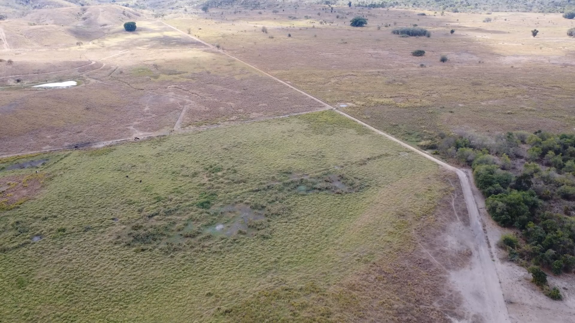 Farm of 1.349 acres in Mathias Lobato, MG, Brazil