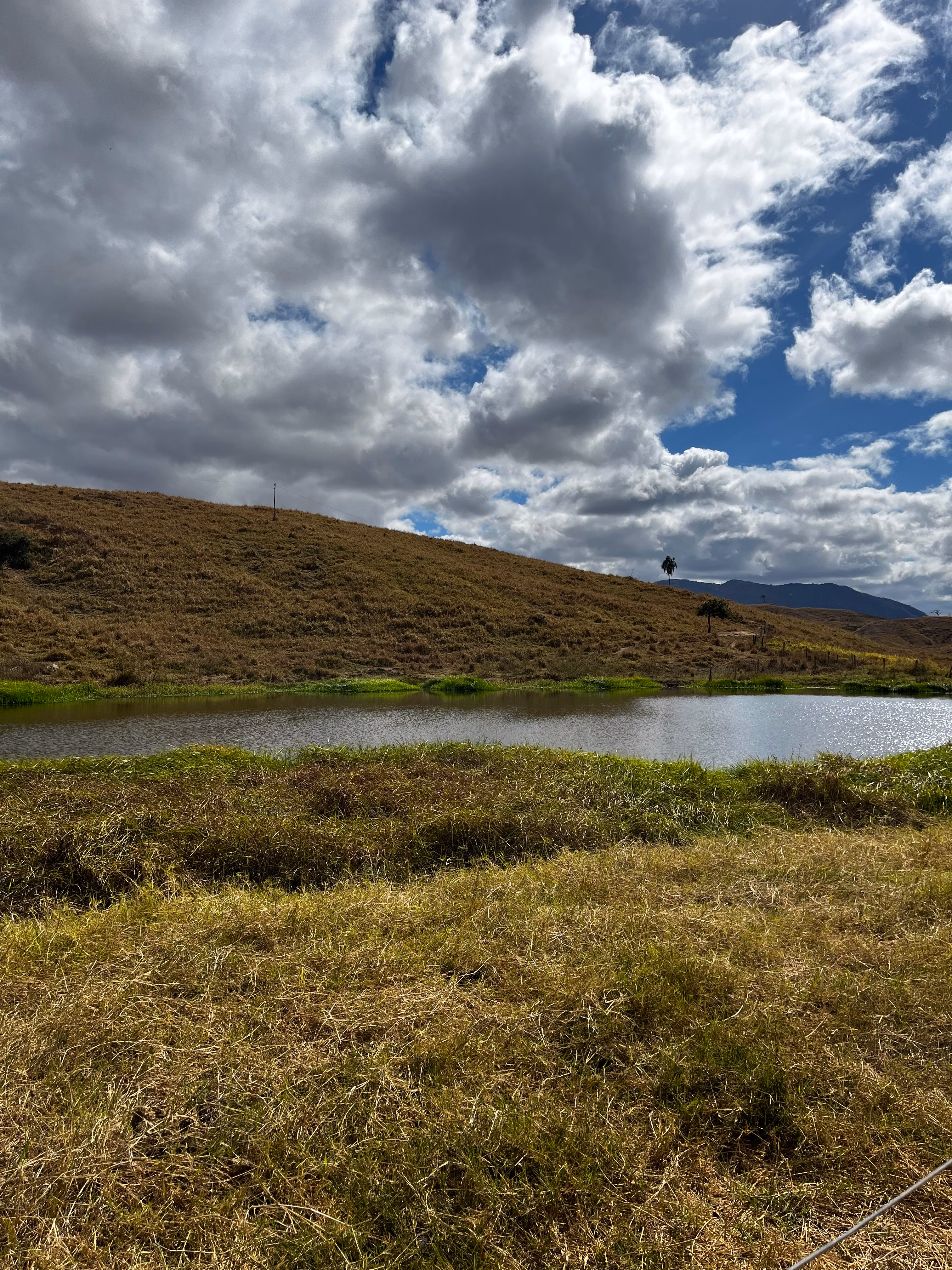 Farm of 1.349 acres in Mathias Lobato, MG, Brazil