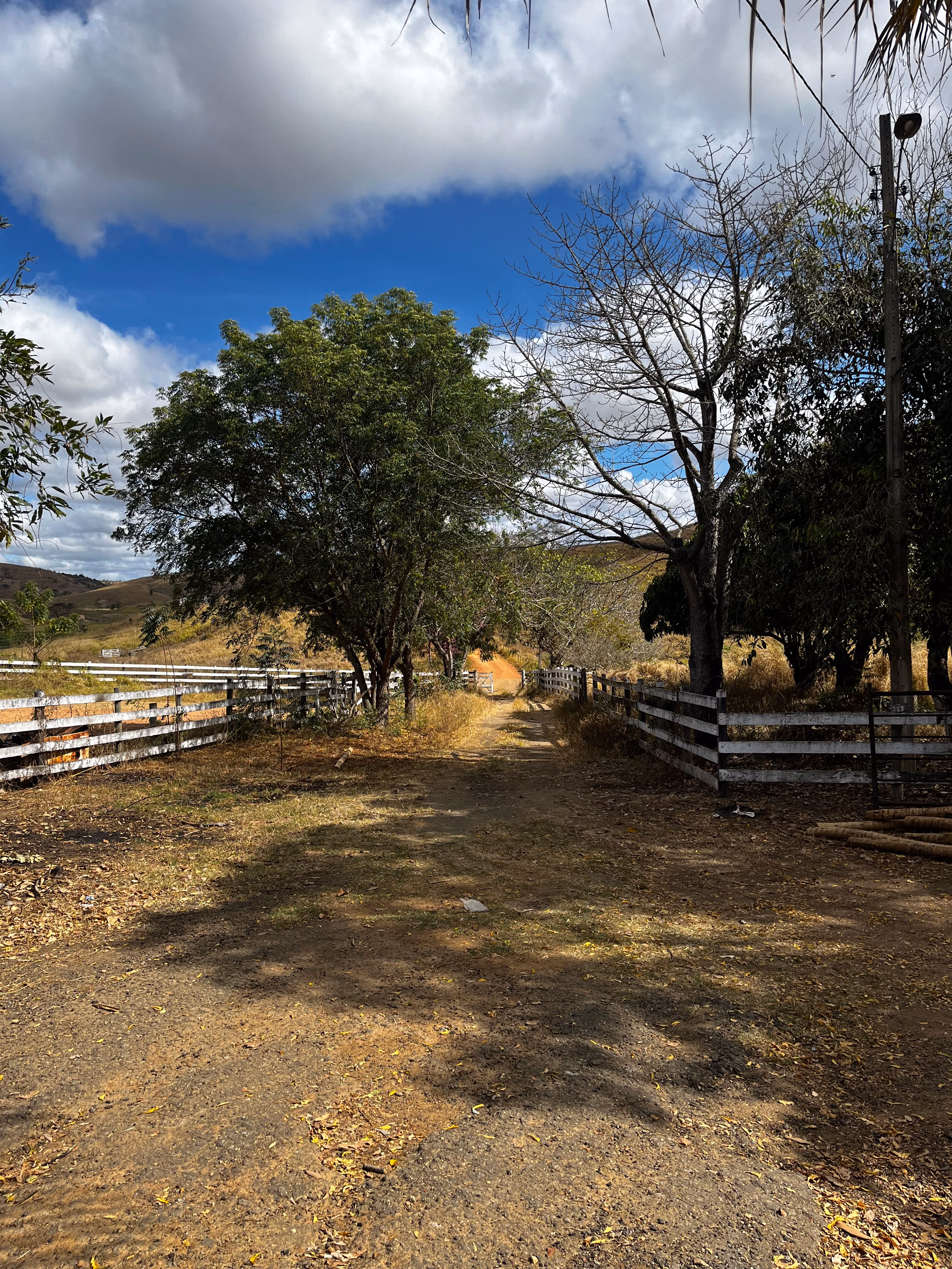 Farm of 1.349 acres in Mathias Lobato, MG, Brazil