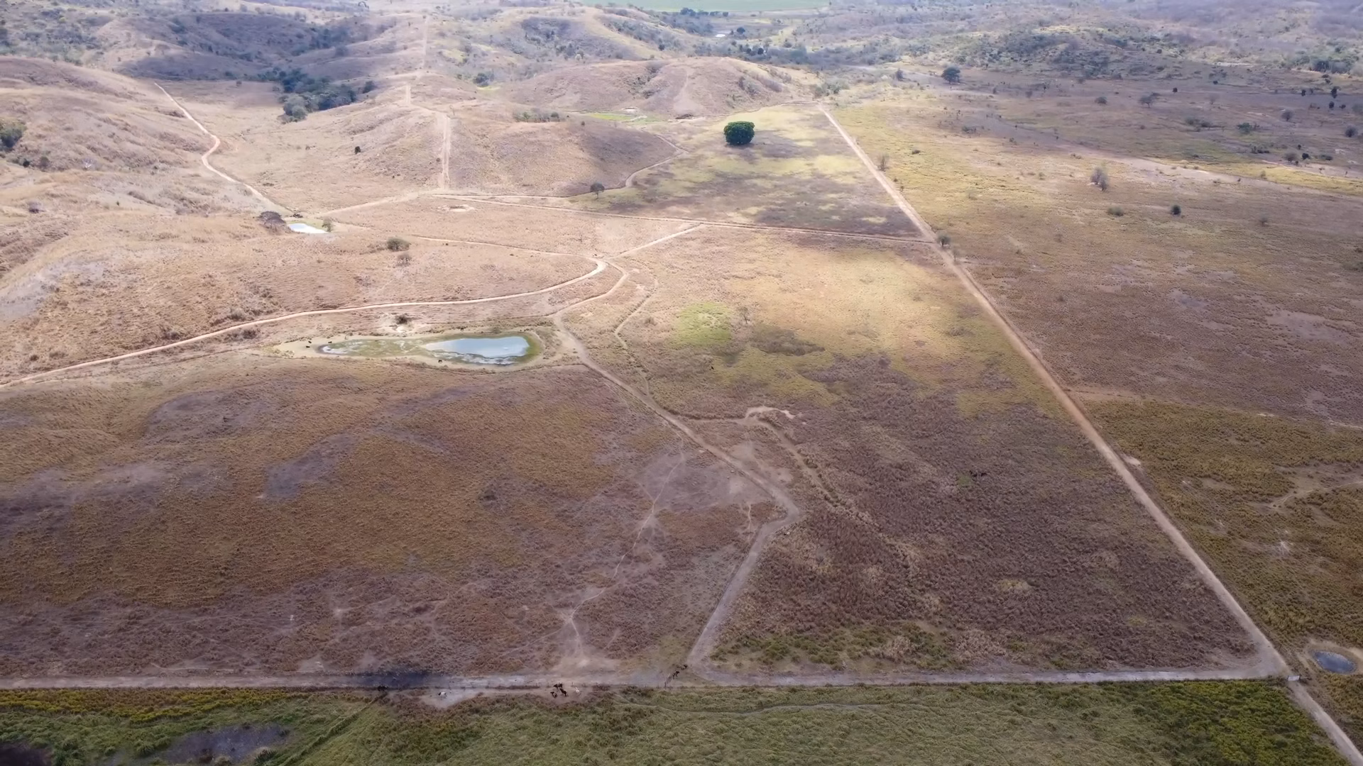 Farm of 1.349 acres in Mathias Lobato, MG, Brazil