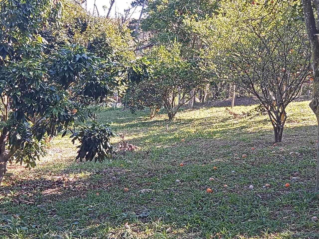 Chácara de 2 ha em São José dos Campos, SP