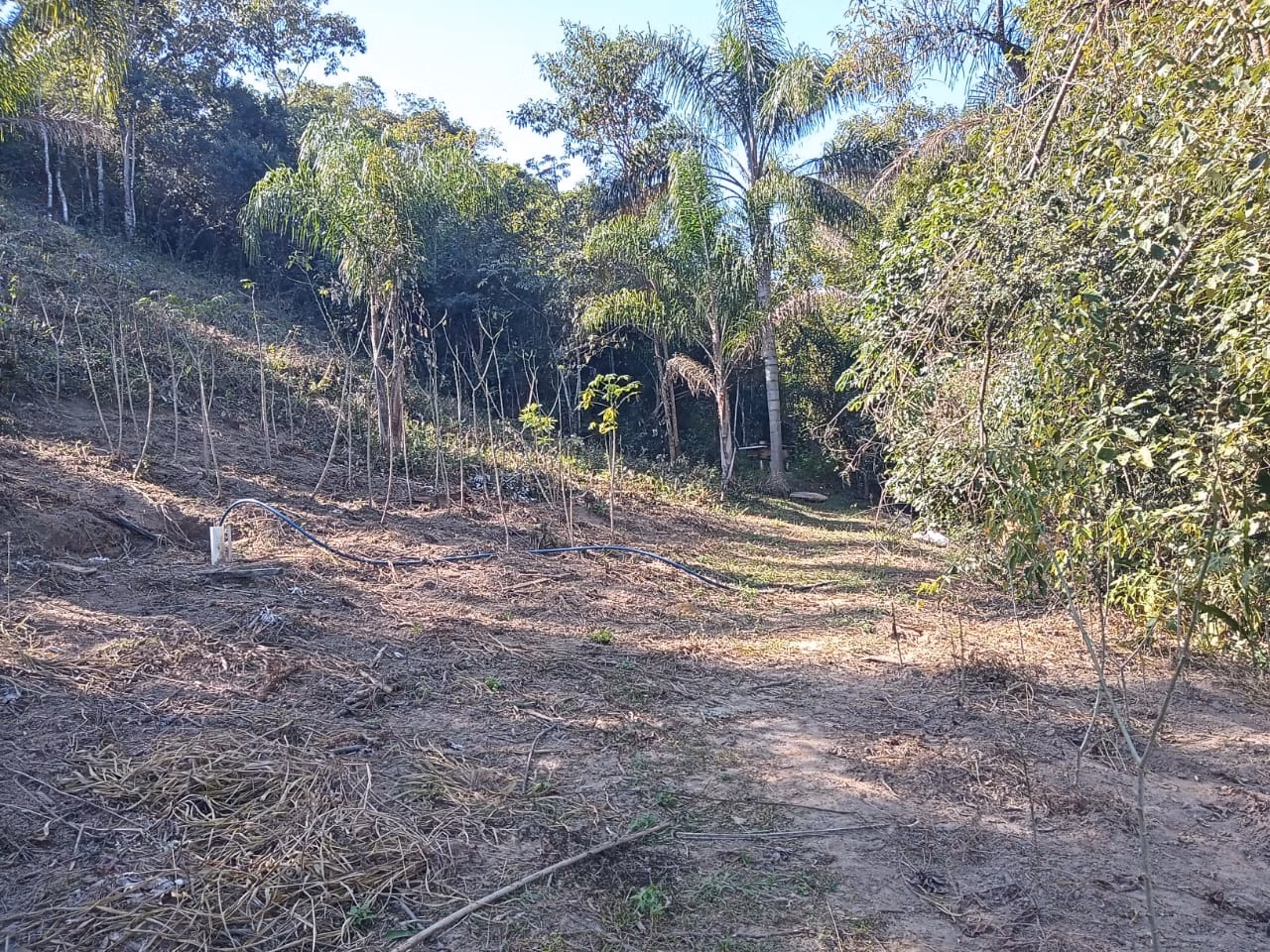 Chácara de 2 ha em São José dos Campos, SP
