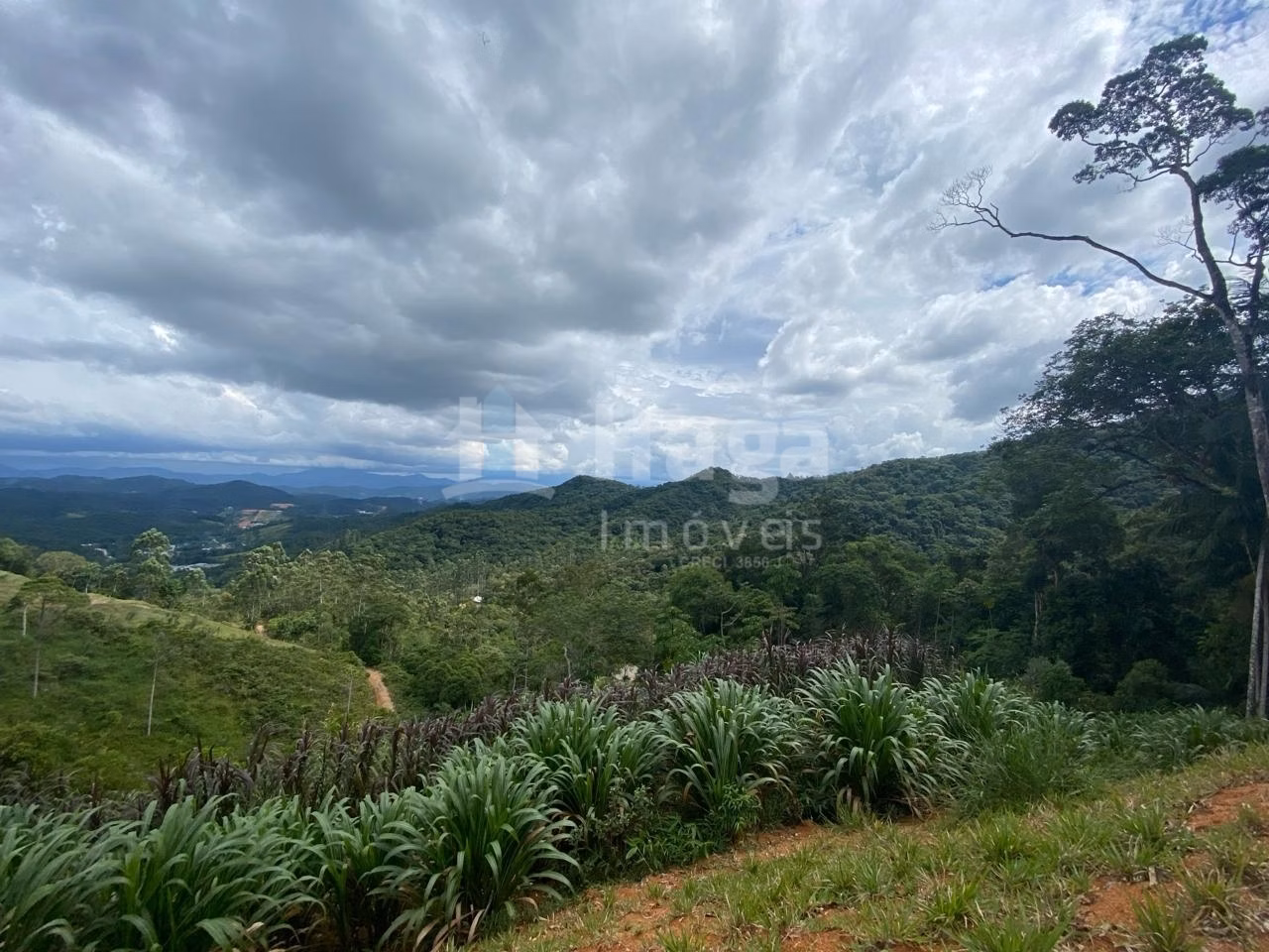 Terreno de 2.400 m² em Guabiruba, SC