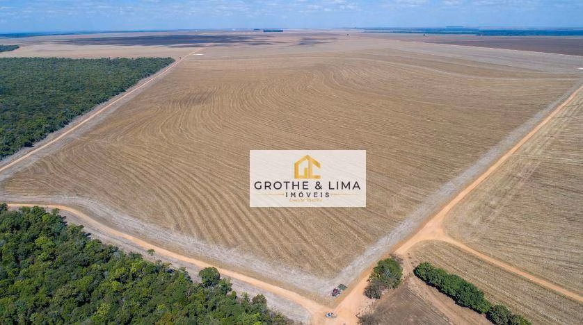 Fazenda de 5.000 ha em Nova Maringá, MT