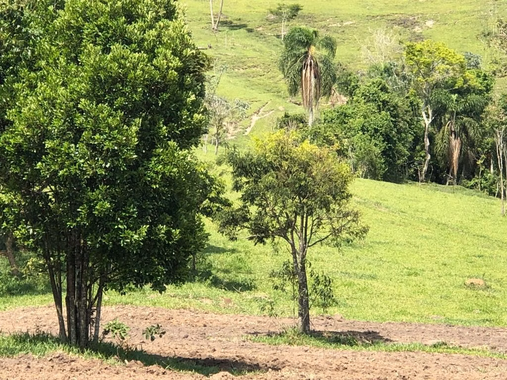 Plot of 25 acres in Jacareí, SP, Brazil