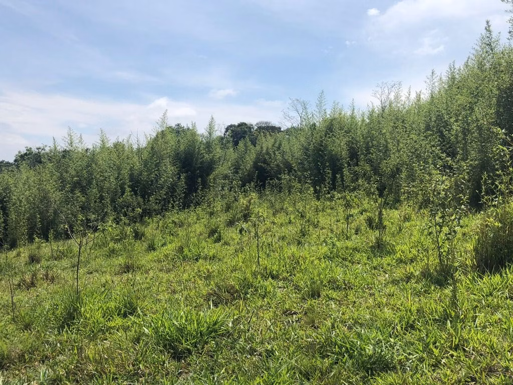Plot of 25 acres in Jacareí, SP, Brazil