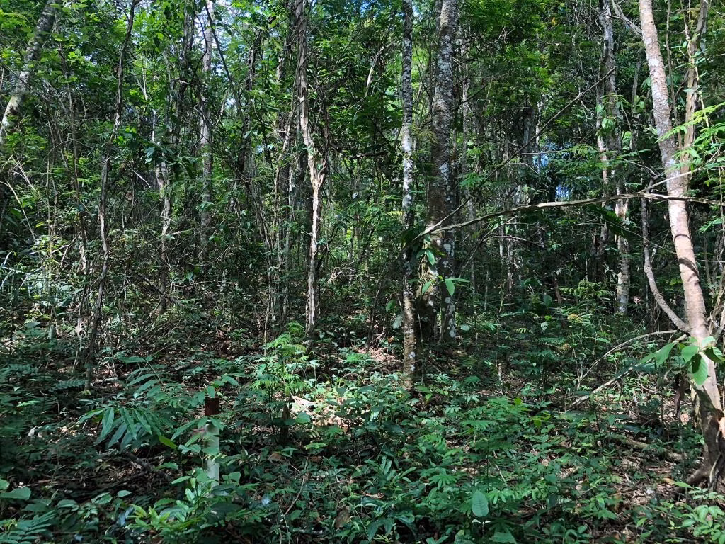 Plot of 25 acres in Jacareí, SP, Brazil