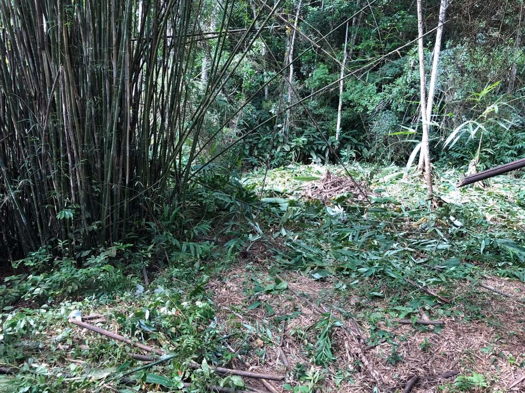 Plot of 25 acres in Jacareí, SP, Brazil