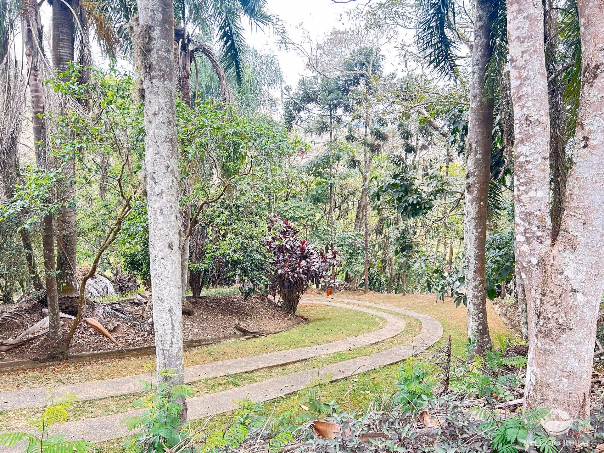 Sítio de 43 ha em São José dos Campos, SP