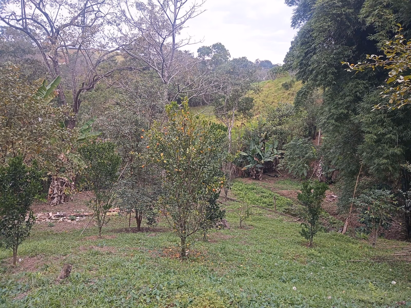 Chácara de 5.800 m² em São José dos Campos, SP