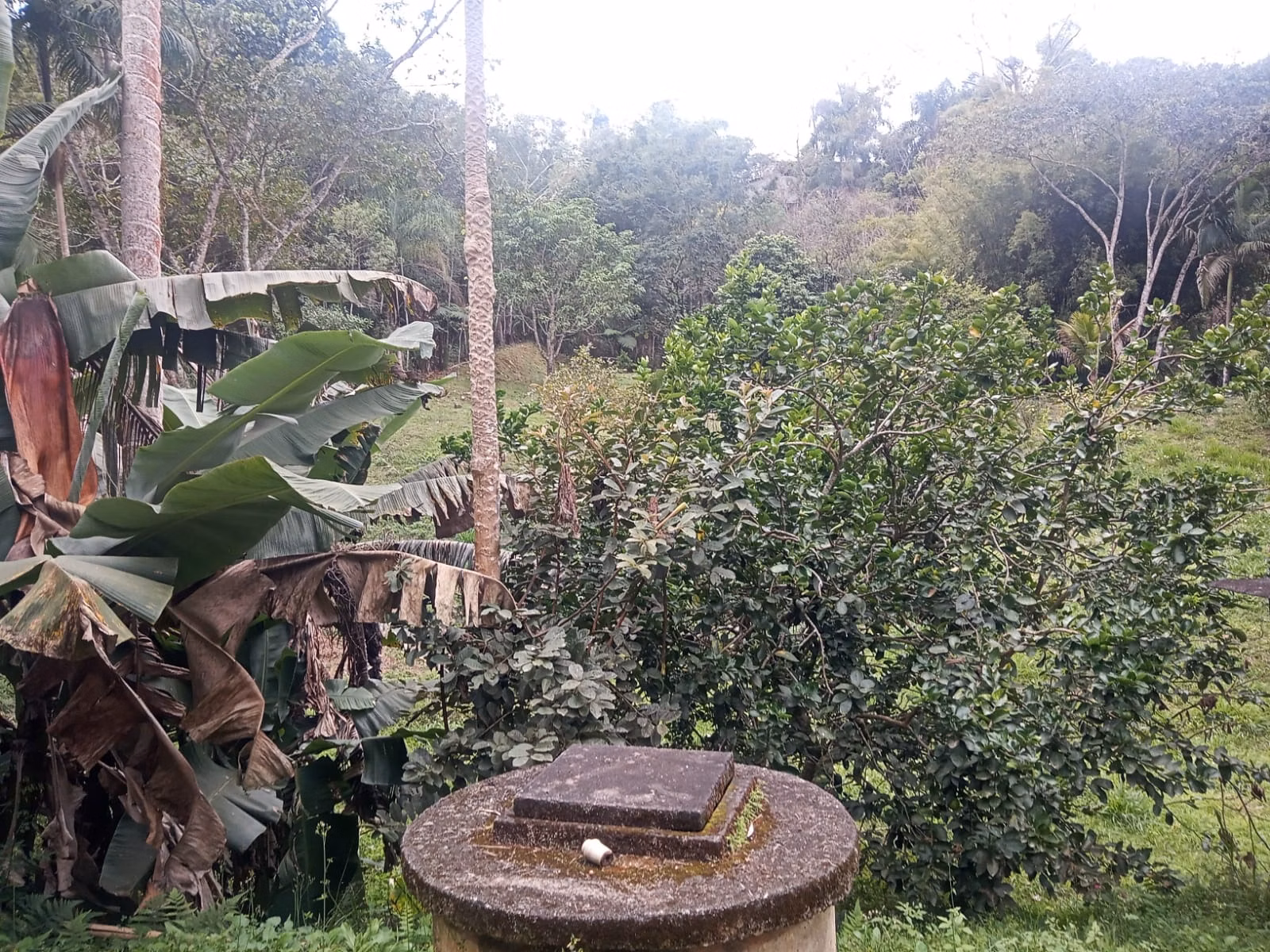 Chácara de 5.800 m² em São José dos Campos, SP