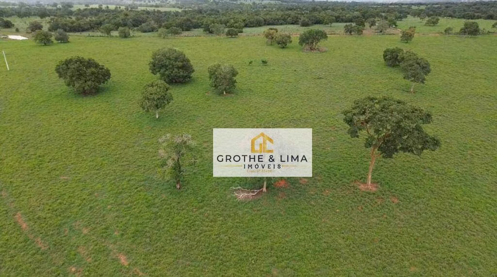 Farm of 6.877 acres in Uirapuru, GO, Brazil